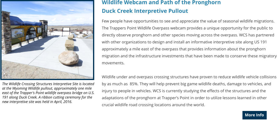 Wildlife Webcam and Path of the Pronghorn  Duck Creek Interpretive Pullout Few people have opportunities to see and appreciate the value of seasonal wildlife migrations. The Trappers Point Wildlife Overpass webcam provides a unique opportunity for the public to directly observe pronghorn and other species moving across the overpass. WCS has partnered with other organizations to design and install an informative interpretive site along US 191 approximately a mile east of the overpass that provides information about the pronghorn migration and the infrastructure investments that have been made to conserve these migratory movements.  Wildlife under and overpass crossing structures have proven to reduce wildlife vehicle collisions by as much as  85%. They will help prevent big game wildlife deaths, damage to vehicles, and injury to people in vehicles. WCS is currently studying the effects of the structures and the adaptations of the pronghorn at Trappers Point in order to utilize lessons learned in other crucial wildlife road crossing locations around the world.  More Info More Info The Wildlife Crossing Structures Interpretive Site is located at the Wyoming Wildlife pullout, approximately one mile east of the Trapper's Point wildlife overpass bridge on U.S. 191 along Duck Creek. A ribbon cutting ceremony for the new interpretive site was held in April, 2016.